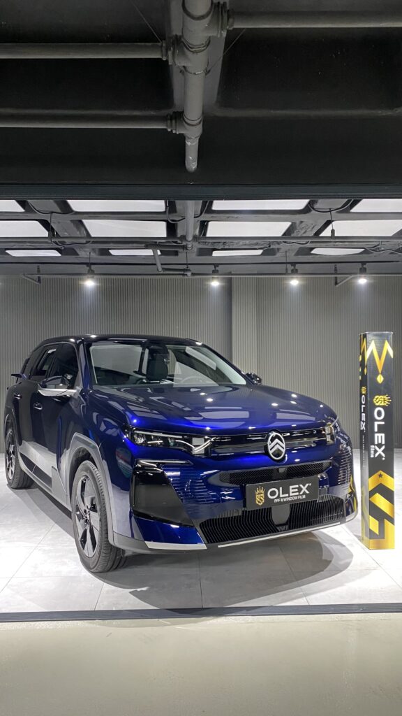 Olex Moi Garage proje fotoğrafı