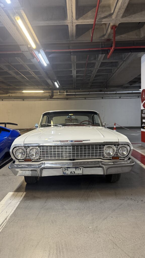 Olex Moi Garage proje fotoğrafı